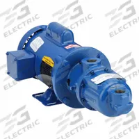 MOYNO Motorized Progressive Cavity Pump: Water, Direct Drive AC Motor, Cast Iron, Buna-N, Wobble, SS (MPN 33359). Key specifications — Brand: MOYNO.