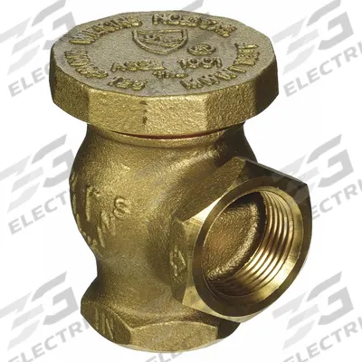 ZURN WILKINS Vacuum Breaker: FNPT x FNPT, 1 in Pipe Size, Rough Brass, For Water Media - Atmospheric Vacuum Breakers