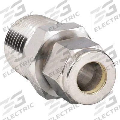 PARKER Compression Fitting Adapter: 3/8 in OD x 1/2 in Pipe Fitting Size - Double-Ferrule Stainless Steel Fittings