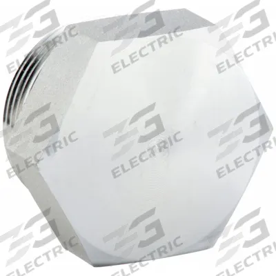 PARKER Plug: 2 in, Threaded, 2,000 psi, Steel, 1 7/16 in Lg - Threaded High-Pressure Pipe Fittings