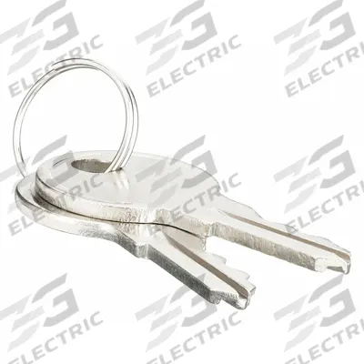 APPROVED VENDOR Key: 1 PR (MPN 012K) - Thermostat Guard Replacement Keys