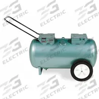 SPEEDAIRE Gas Engine Air Compressor Tank: 20 gal Tank Capacity, 150 psi Max Op Pressure, Horizontal (MPN 1VW38). Key specifications — attr51576: SPEEDAIRE.