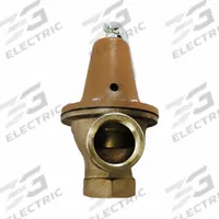 WATTS Pressure Relief Valve: FNPTF x FNPTF, 2 in x 2 in, Copper Silicon Alloy, 11 1/2 in Overall Ht (MPN 0121566). Key specifications — Brand: WATTS.