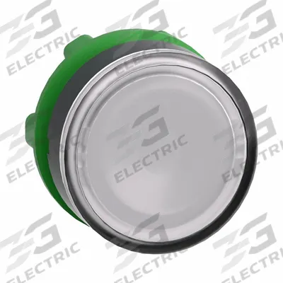SCHNEIDER Flush Push Button: 22 mm Mounting Size, Non-Metallic - Flush-Mount & Recessed Push-Button Operators