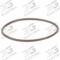 BANJO Line Strainer Gasket (MPN MLS220G1V). Key specifications — Brand: BANJO; Product Type: Strainer Gasket.