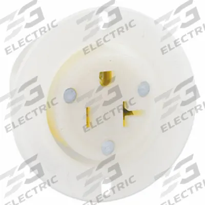 LEVITON Flanged Receptacle: Single, 5-20, White, 125V AC, 20 A, 2 Pole / 3 Wire (MPN 15379-C) - General Purpose Receptacles