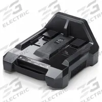 HOOVER Dual Bay Charger: Hoover, For Backpack Vacuum/Upright Vacuum Vacuum Type, CH07250. Key specifications — Accessory Type: Dual Bay Charger; Manufacturer Part Number: CH07250.