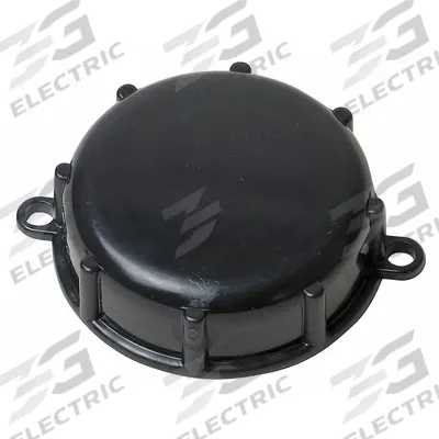 APPROVED VENDOR Dust Cap: 2 in, 2 in Buttress Inlet, Plastic, C2BBK-FL - Caps, Covers & Plugs for IBC Totes