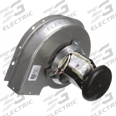 FASCO Blower: Furnace, Amana, 7002-2407 - Furnace Draft Inducers