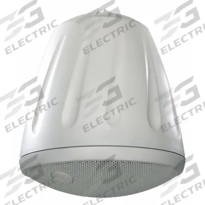 SOUNDTUBE Speaker: Passive, 2-Way, 8 ohm Impedance, 20 3/4 in Overall Wd - Pendant-Mount Speakers