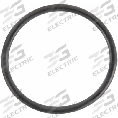 BANJO Gasket: EPDM, 1/8 in Ht - Replacement Inline Strainer Gaskets