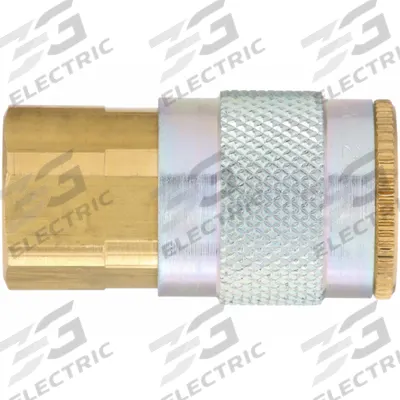 DIXON VALVE & COUPLING Quick Connect Hose Coupling: 1/4 in Body Size - Tru-Flate Automotive Brass Quick-Connect Air Coupling Bodies