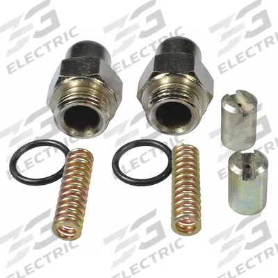 WESTWARD Double Plunger Kit: Double Plunger Kit, TTKITOP03G - Repair Kits