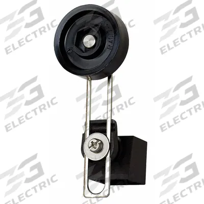 EATON Limit Switch Head: Roller Arm Plunger, Side - Heads with Roller Levers