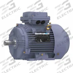 MARATHON MOTORS Metric Motor: 3 hp, Rigid Base Mount, 100L Frame Size, Totally Enclosed Fan Cooled (MPN TCA2P22AE211GAA009). Key specifications — Brand: MARATHON MOTORS; Nameplate Voltage @ 60 Hz: 230/460V AC; Full Load Amps @ 60 Hz: 7.8/3.9 A; Nameplate RPM @ 60 Hz: 1,725 RPM; Motor Enclosure: TEFC.