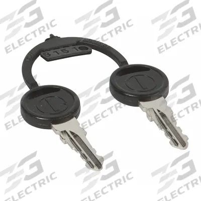 TENNANT Ignition Key (MPN 4129073) - Replacement Parts for Floor Cleaning Machines