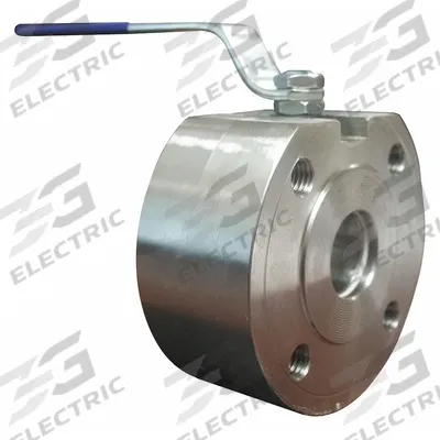 BONOMI Manual Two-Way Ball Valve: 1 in, 316 Stainless Steel, Straight Valve Body - Stainless Steel Ball Valves
