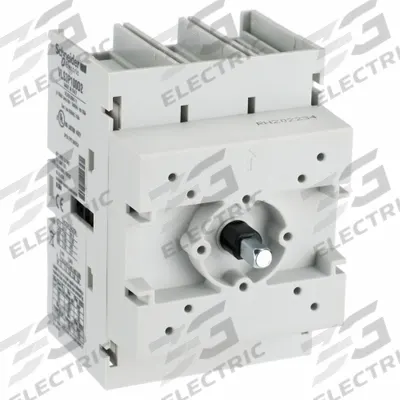 SCHNEIDER Disconnect Switch: 100 A Current Rating - Disconnect Switch Bodies