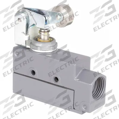 Dayton Limit Switch: Roller Arm Plunger (MPN 12T909) - Top-Mount Roller-Plunger Limit Switches with Lever Arms