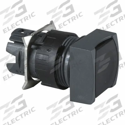 SCHNEIDER Flush Push Button: Black, 16 mm Mounting Size, Non-Metallic - Flush-Mount & Recessed Push-Button Operators