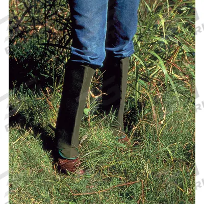 APPROVED VENDOR Gaiters: Green, Canvas, 17 in Overall Lg - Snakebite Protective Gaiters
