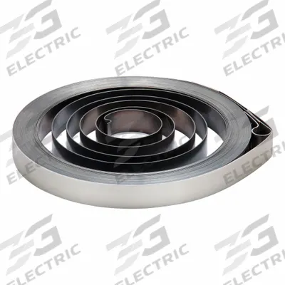 REELCRAFT Replacement Spring: For 4000 Reel Series - Hose Reel Drive Springs