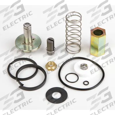 ASCO Valve Rebuild Kit (MPN 302303) - Repair Kits for Solenoid Valves