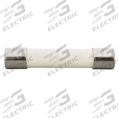 WESTWARD Fuse: For 2WDP3 - Westward Power Tool Parts