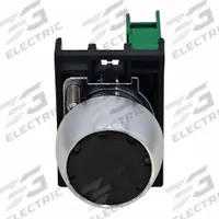 DAYTON Flush Push Button Operator: Non-Illuminated, Flush Profile, Metallic, 22 mm, 1NO (MPN GGS_116333). Key specifications — Brand: DAYTON; Action: Momentary; Push Button Material Type: Metallic.