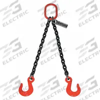 LIFT-ALL Double Leg Chain Sling: 7/32 in Chain Trade Size, 100 Chain Grade, Sling Hook, Alloy Steel (MPN 732DOSW10X14). Key specifications — attr994064: LIFT-ALL.
