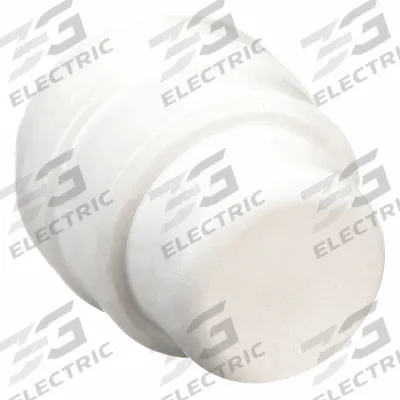 JOHN GUEST Push-Fit Cap: 1 in OD Size, Tube - Polysulfone Push-to-Connect Tube Fittings