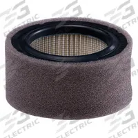 JOHNSON CONTROLS Pneumatic Replacement Intake Filter: Particulate, 10 micron, 99% Filter Efficiency (MPN A-4000-613). Key specifications — attr111561: A-4000-613.