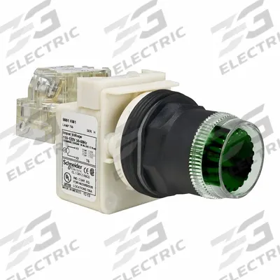SCHNEIDER Flush Push Button: Green, 30 mm Mounting Size, Non-Metallic - Illuminated Flush-Mount Push-Button Operators