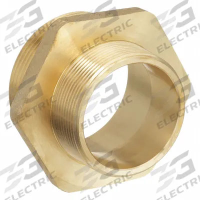 DIXON VALVE & COUPLING Fire Hose Adapter: 2 in_2 1/2 in Compatible Pipe Size, NPT x NPSH - Brass Rigid Fire Hydrant & Standpipe Adapters