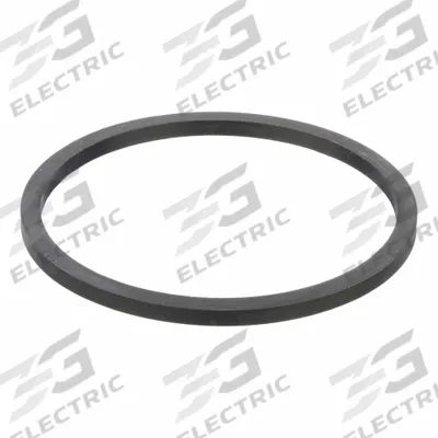 APPROVED VENDOR Drum Plug Gasket: Drum Plug Gasket, 2 in Outside Dia - Drum Bung Gaskets