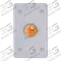 APPLETON ELECTRIC Weatherproof Cover: Malleable Iron, FD/FS, Pilot Lamps, 1 Gangs, No Enclosure (MPN FSK-1JAC). Key specifications — Brand: APPLETON ELECTRIC; Color: Gray; Compatible with Product Type: Pilot Lamps; Compatible with Series: FD; Mounting Orientation: Horizontal or Vertical.