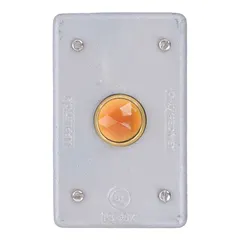 APPLETON ELECTRIC Weatherproof Cover: Malleable Iron, FD/FS, Pilot Lamps, 1 Gangs, No Enclosure (MPN FSK-1JAC). Key specifications — Brand: APPLETON ELECTRIC; Color: Gray; Compatible with Product Type: Pilot Lamps; Compatible with Series: FD; Mounting Orientation: Horizontal or Vertical.