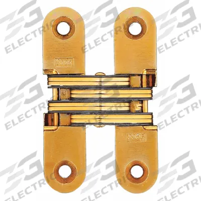 SOSS Concealed Hinge: Brass, 2 3/4 in Leaf Ht, 5/8 in Leaf Wd - Full Mortise-Mount Concealed Hinges
