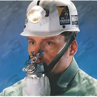 MSA Self Rescuer Respirator: 60 min Escape Duration, Carbon Monoxide, MSA W65 (MPN 455299). Key specifications — Brand: MSA; Protects from Exposure To: Carbon Monoxide; Brand and Series: MSA W65.