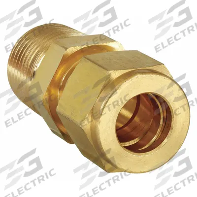 PARKER Compression Fitting Adapter: 1/2 in OD x 1/2 in Pipe Size, Compression x MNPT - Double-Ferrule Brass Compression Fittings