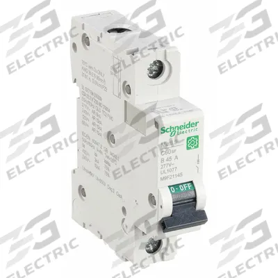SCHNEIDER Supplementary Protector: 45 A Amps, 60V DC, 10kA at 120/240V AC, Screw Clamp - B-Curve, 1-Pole UL1077 DIN Rail-Mount Supplementary Protectors