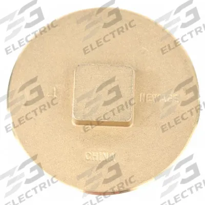 APPROVED VENDOR Plug: Solid Plug, Class 20, 4 in Fitting Pipe Size, IPS Socket - Drainage Brass Pipe Fittings