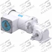 LEESON AC Gearmotor: Right Angle, Single Output Shaft, 3-Phase, TEFC, 172 RPM, 105 in-lb Max Torque (MPN M1145147.00). Key specifications — Brand: LEESON; Full Load Current: 1.4-1.3 A.