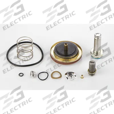 ASCO Valve Rebuild Kit (MPN 323480) - Repair Kits for Solenoid Valves
