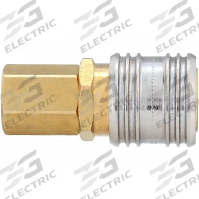 DANFOSS Quick Connect Hose Coupling: 1/4 in Body Size, 1/4 in Hose Fitting Size - Industrial Interchange Brass Quick-Connect Air Coupling Bodies