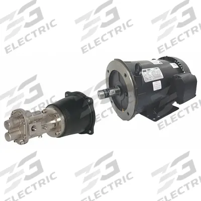 Dayton Rotary Gear Pump: Direct Drive, 3 hp Horsepower, 230/460V AC, Cast Iron Body - Direct-Drive Rotary Gear Pumps
