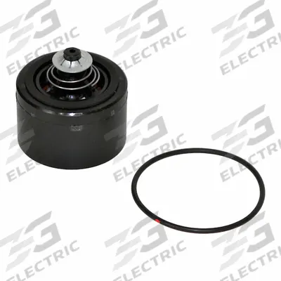 FILL-RITE Check Valve Kit: Mfr Part # KIT700CV - Valve Parts & Repair Kits for Fuel & DEF Transfer Pumps