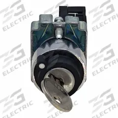 DAYTON Key Switch: 2 Position, 22 mm Panel Mounting Size, 455 Key Code (MPN GGS_116305). Key specifications — Manufacturer Part Number: GGS_116305; Brand: DAYTON; Switch Action: Maintained/Momentary; Key Code: 455.