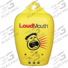 WATTS RADIANT LoudMouth Monitor (MPN 423250HW). Key specifications — Manufacturer Part Number: 423250HW; Brand: WATTS RADIANT; Display Sell UOM: EA; Includes: Test Button To Verify Operation.