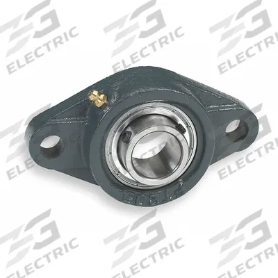 DAYTON 2 Bolt Flange Bearing: Radial Ball, 15/16 in Bore, Cast Iron, Set Screws - General Purpose Flange-Mount Ball Bearings